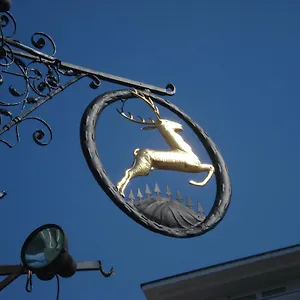 hotel-goldener-hirsch-bayreuth.com-bavaria.com/